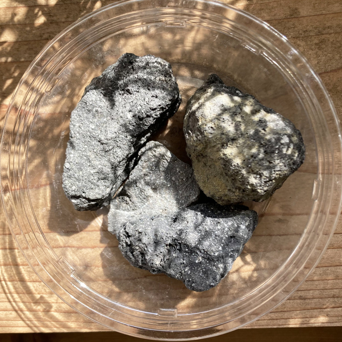 溶岩石 溶岩石 黒 大カップ – G・LABO