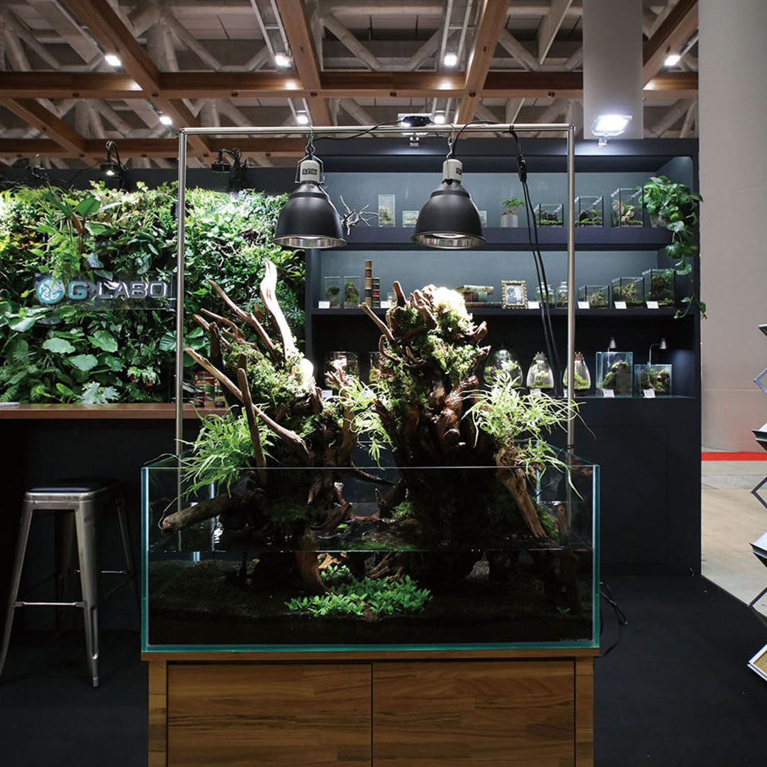 ️⭕️本日限定お値下げ️⭕️ 大型 アクアテラリウム 水槽 完成品 90cm アクアテラリウム – G・LABO