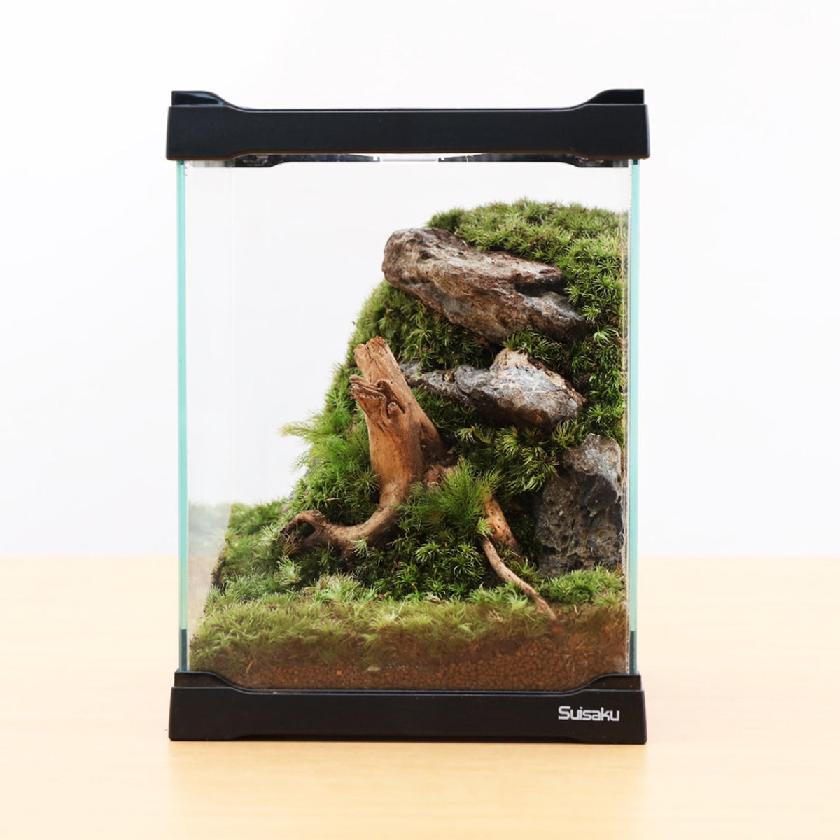 イモリの森 ブラック – G・LABO