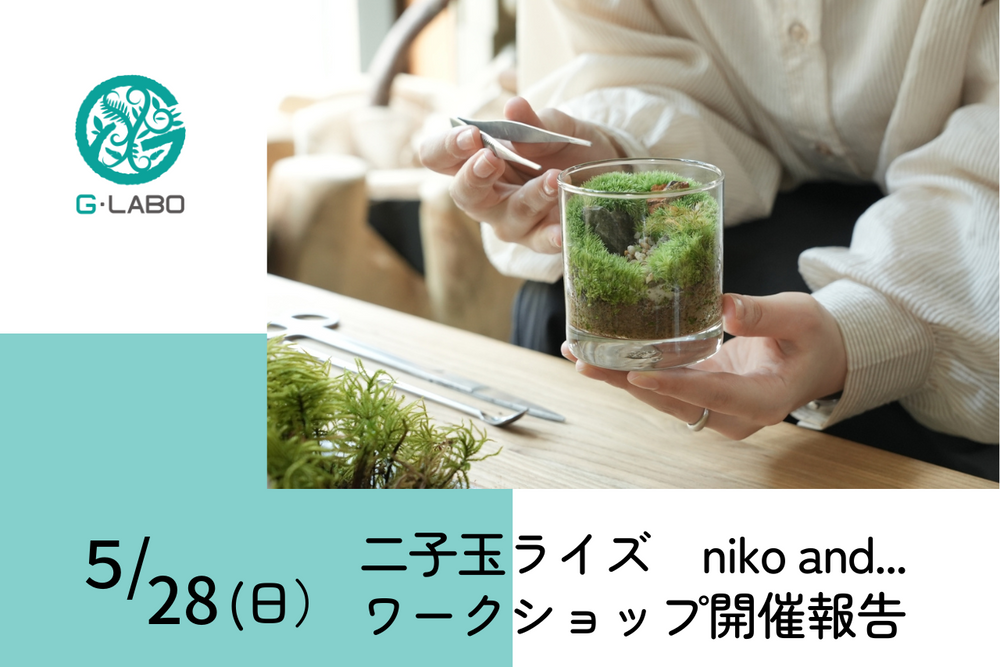 二子玉川ライズのniko and...でワークショップ開催しました