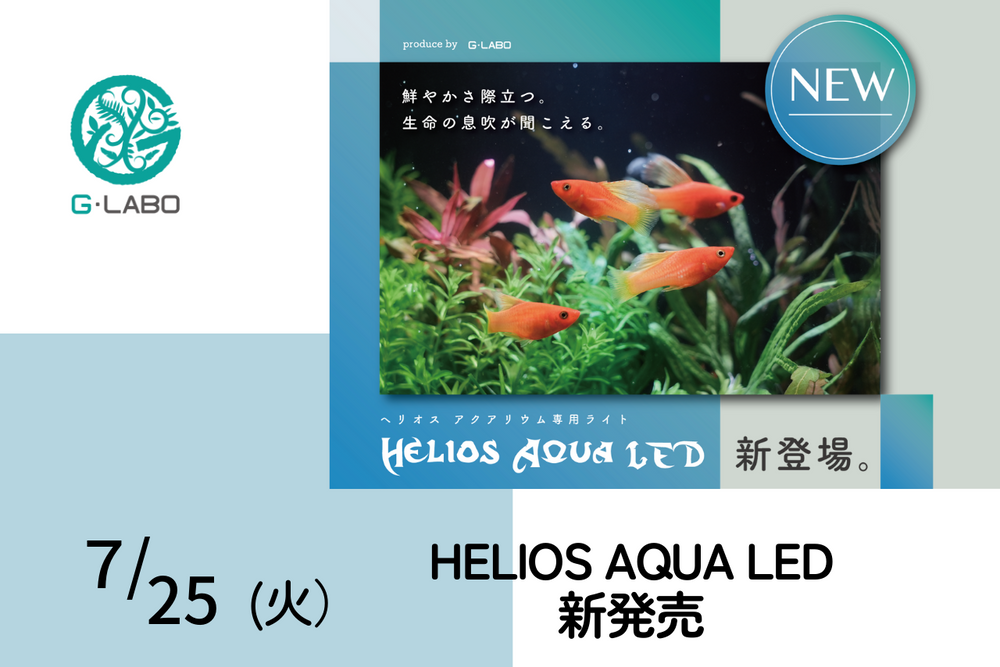 HELIOS AQUA LED本日発売しました