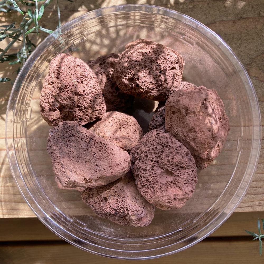 溶岩石 赤 大カップ – G・LABO