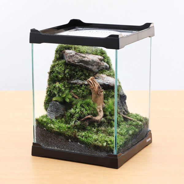 No.89  【すいかページ】　カエルリウム　イモリウム No.89 【すいか様専用ページ】 カエルリウム イモリウム